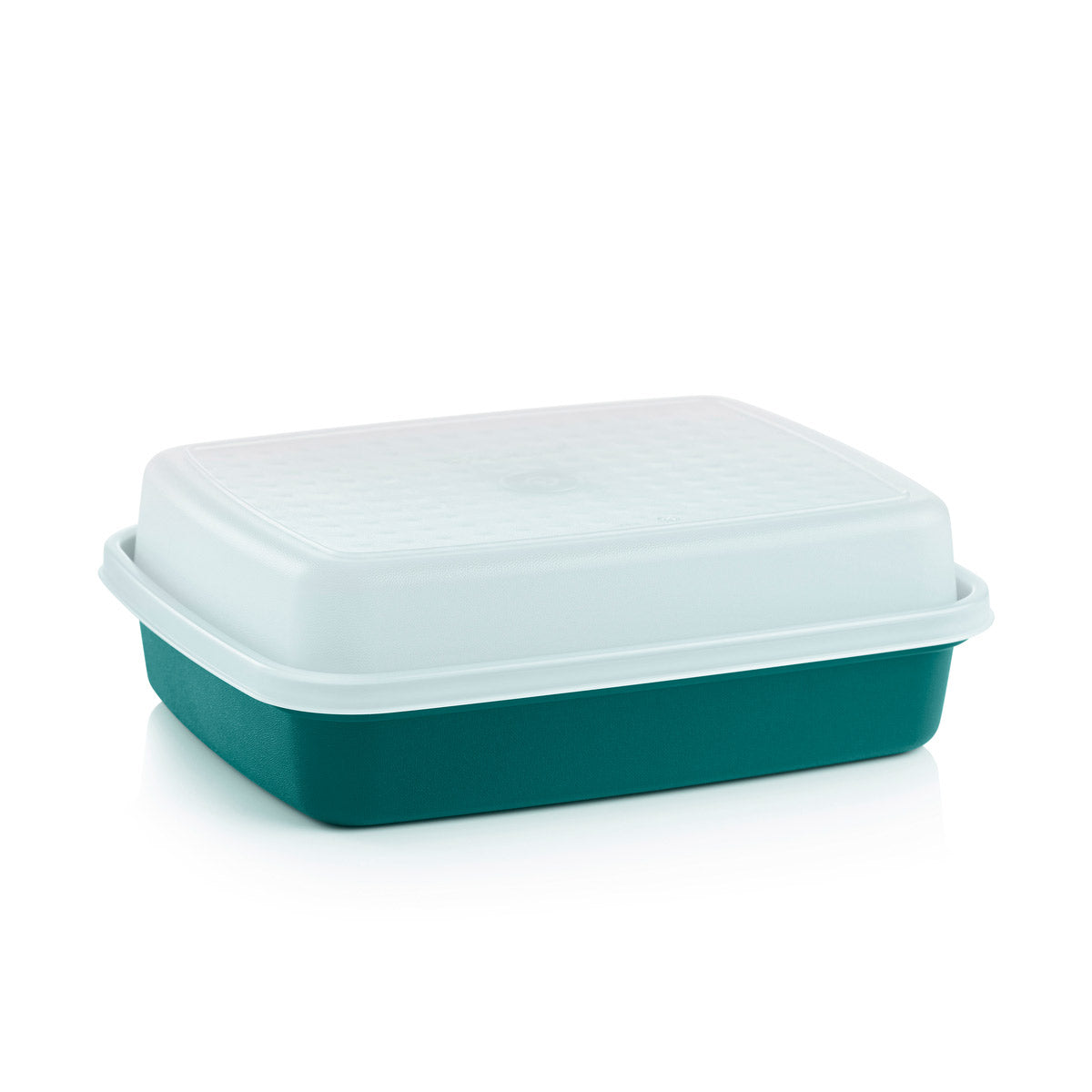 SeasonServeMarinating Food Storage Container with Lid