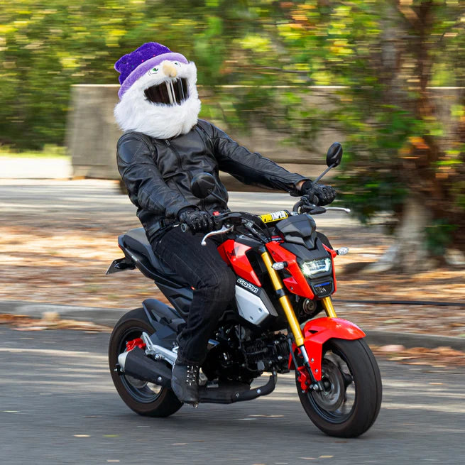 Motorcycle Helmet Cover - Wizard
