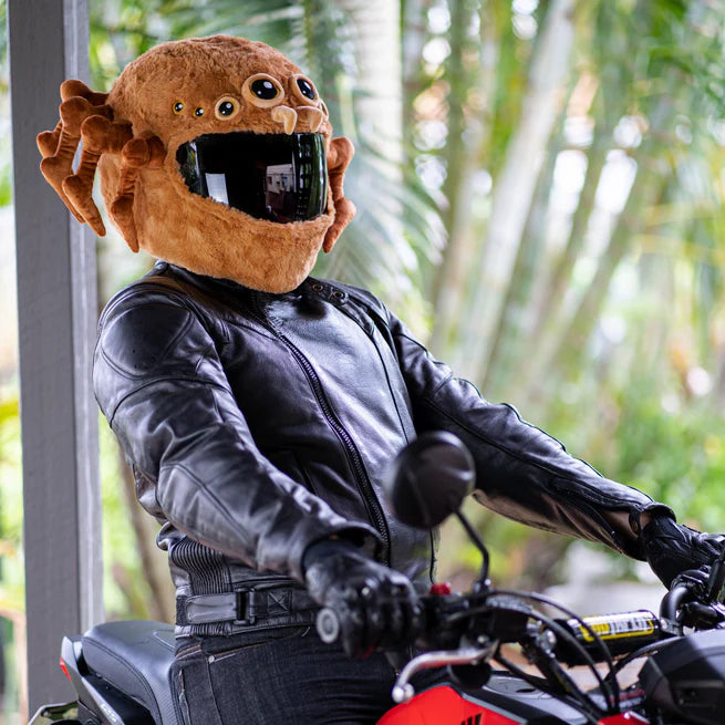 Motorcycle Helmet Cover - Spider