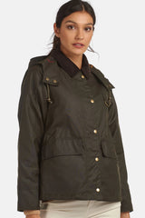 OLIVE/CLASSIC