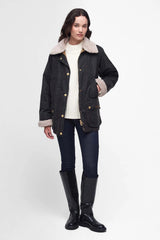 DULL CLASSIC/CLASSIC