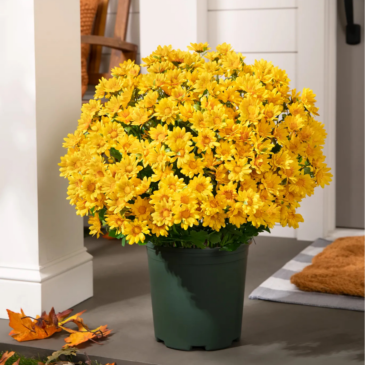 💥Last Day 70% OFF🌼- Artificial Outdoor Sunset Mums Flowers - UV resistant, Waterproof, Windproof