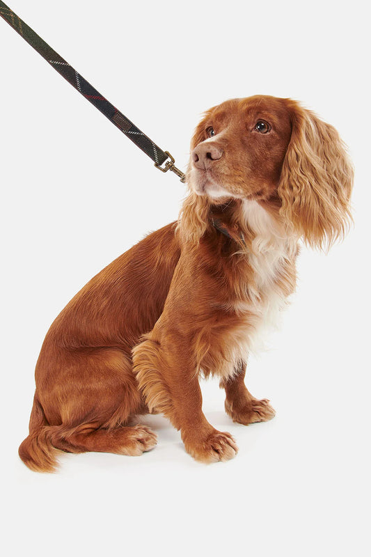 Tartan dog collar - CLASSIC TARTAN