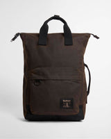 Olive-Black