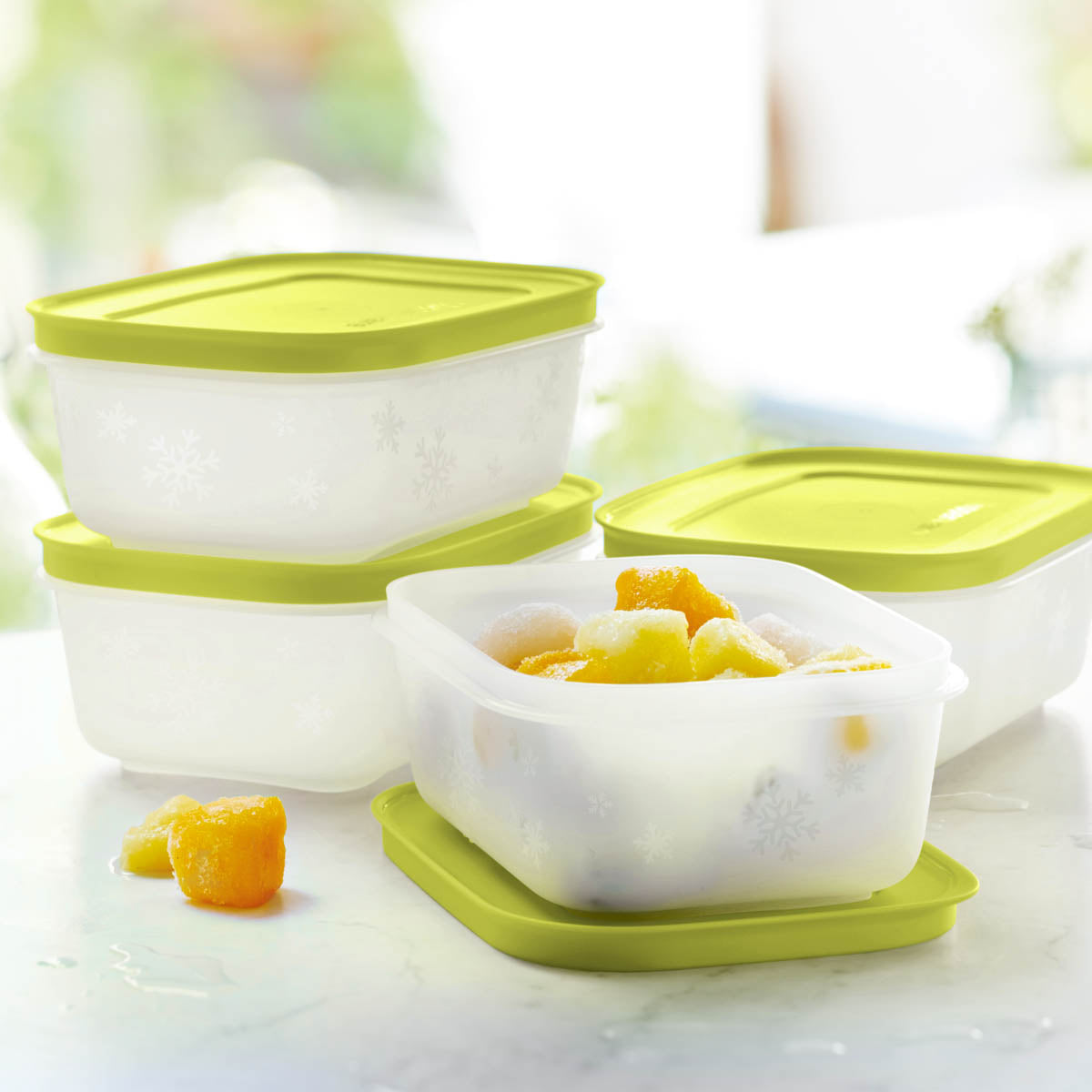Freezer MatesPLUS Small Shallow | 4Piece Container Set